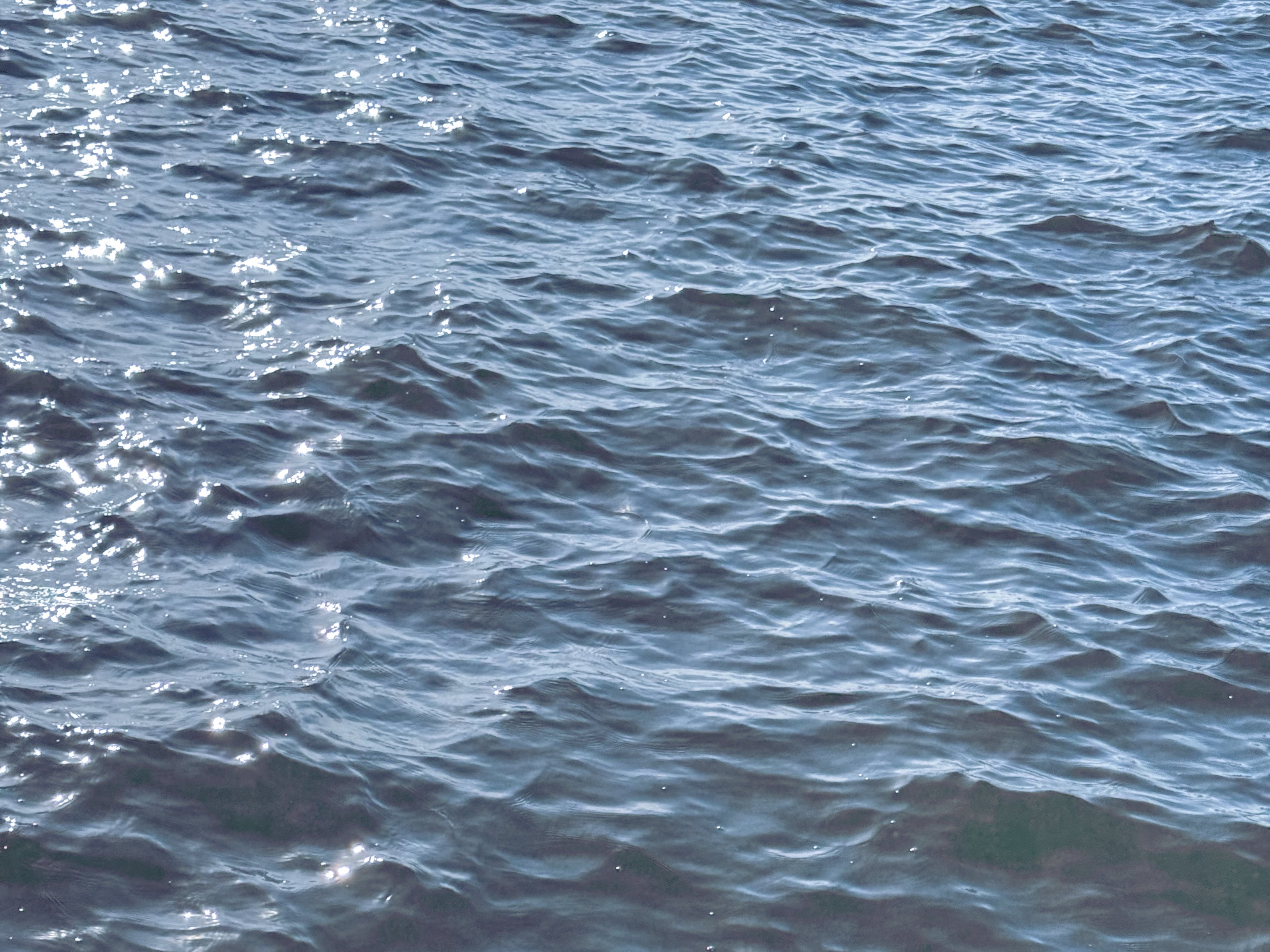 Braca Dragon Boat Pre Order